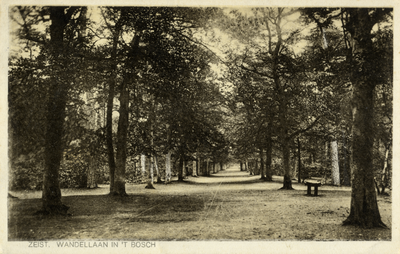16342 Gezicht in een laan met loofbomen in het Zeister Bosch te Zeist.